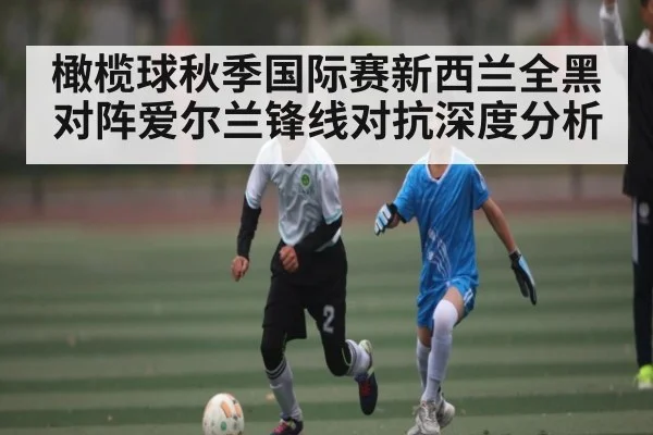 橄榄球秋季国际赛新西兰全黑对阵爱尔兰锋线对抗深度分析
